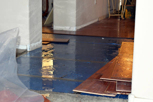 Professional Water Damage Restoration technician working in Cantil, CA